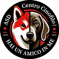 Hai un amico in me